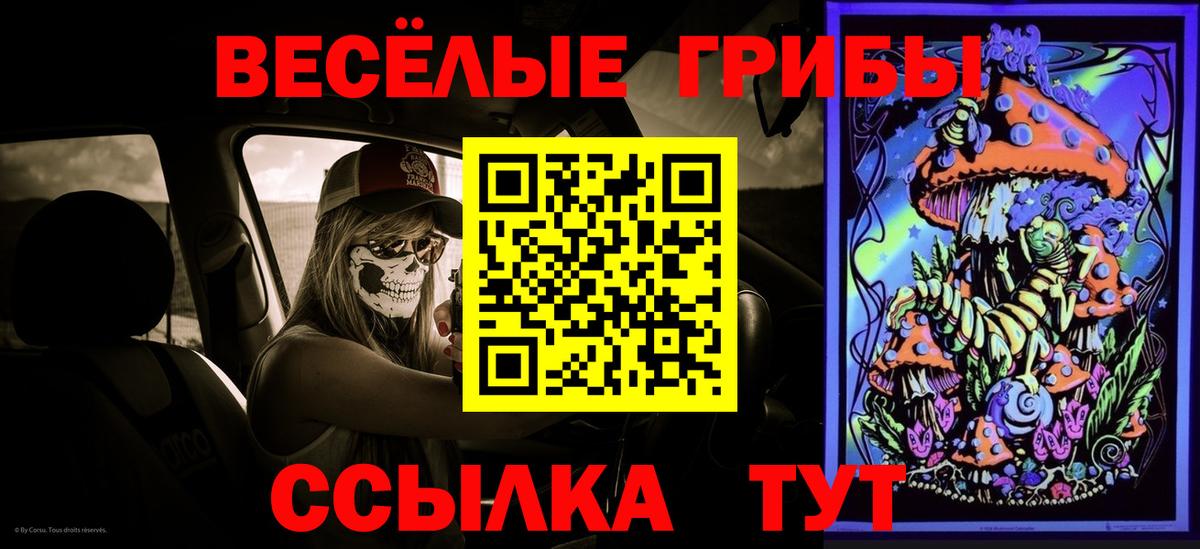 Псилоцибиновые грибы Magic Shrooms Вышний Волочёк
